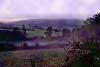Brume sur les Combettes